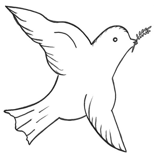 Mod&egrave;le d'une colombe