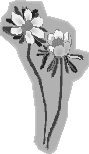 Fleur