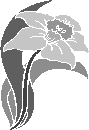 Fleur