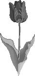 Fleur