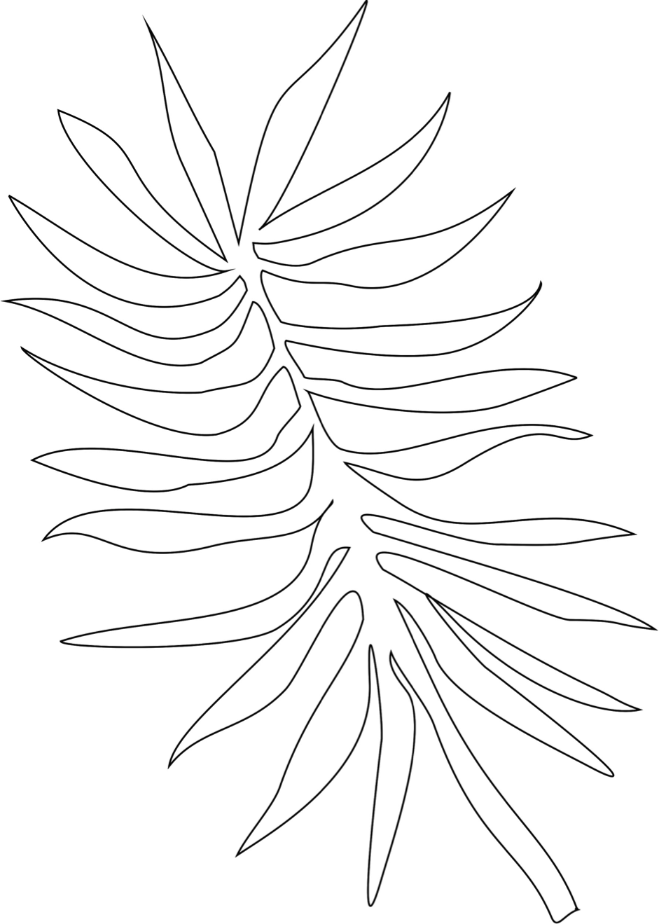 gabarit de rameau (branche de palmier)
